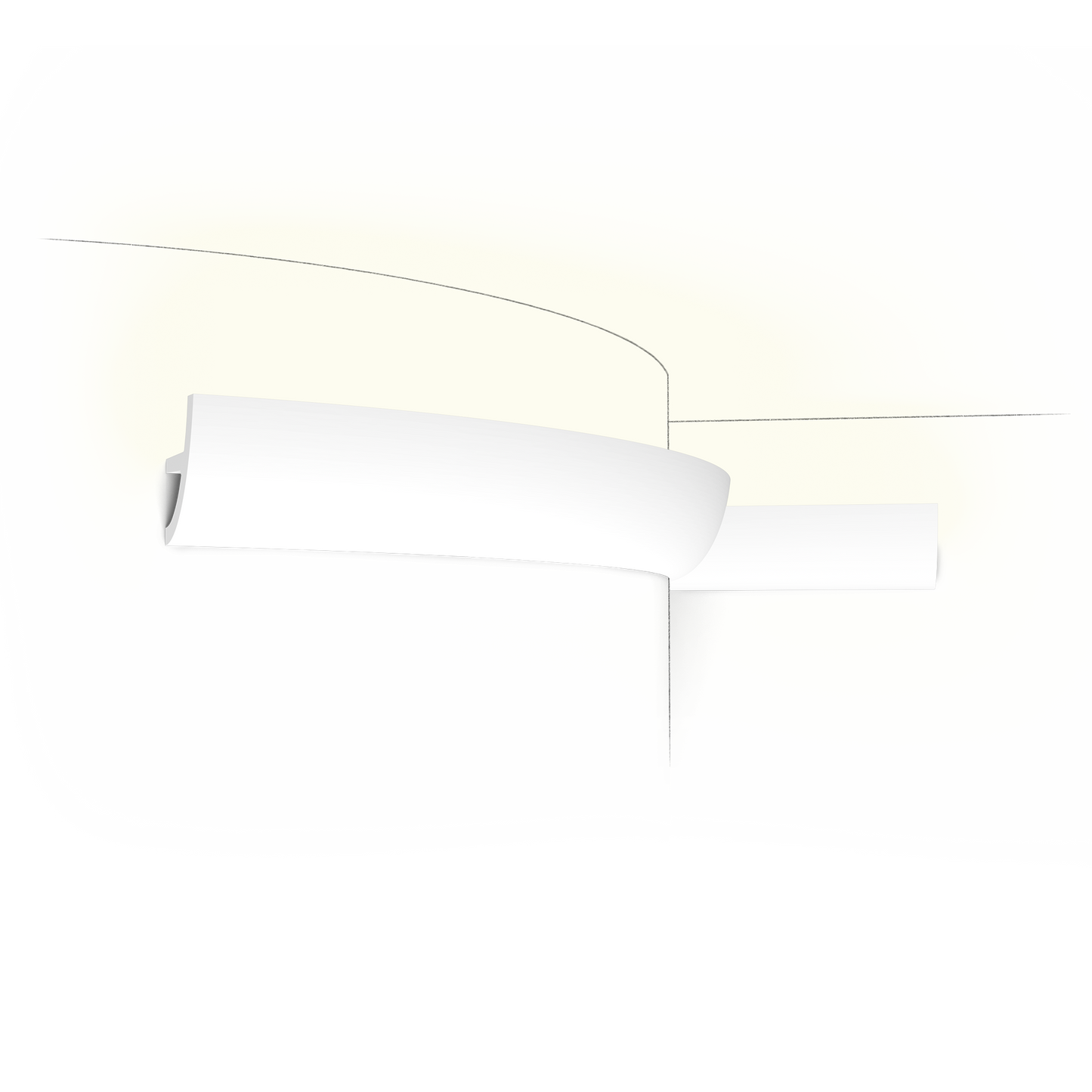 C373F ANTONIO