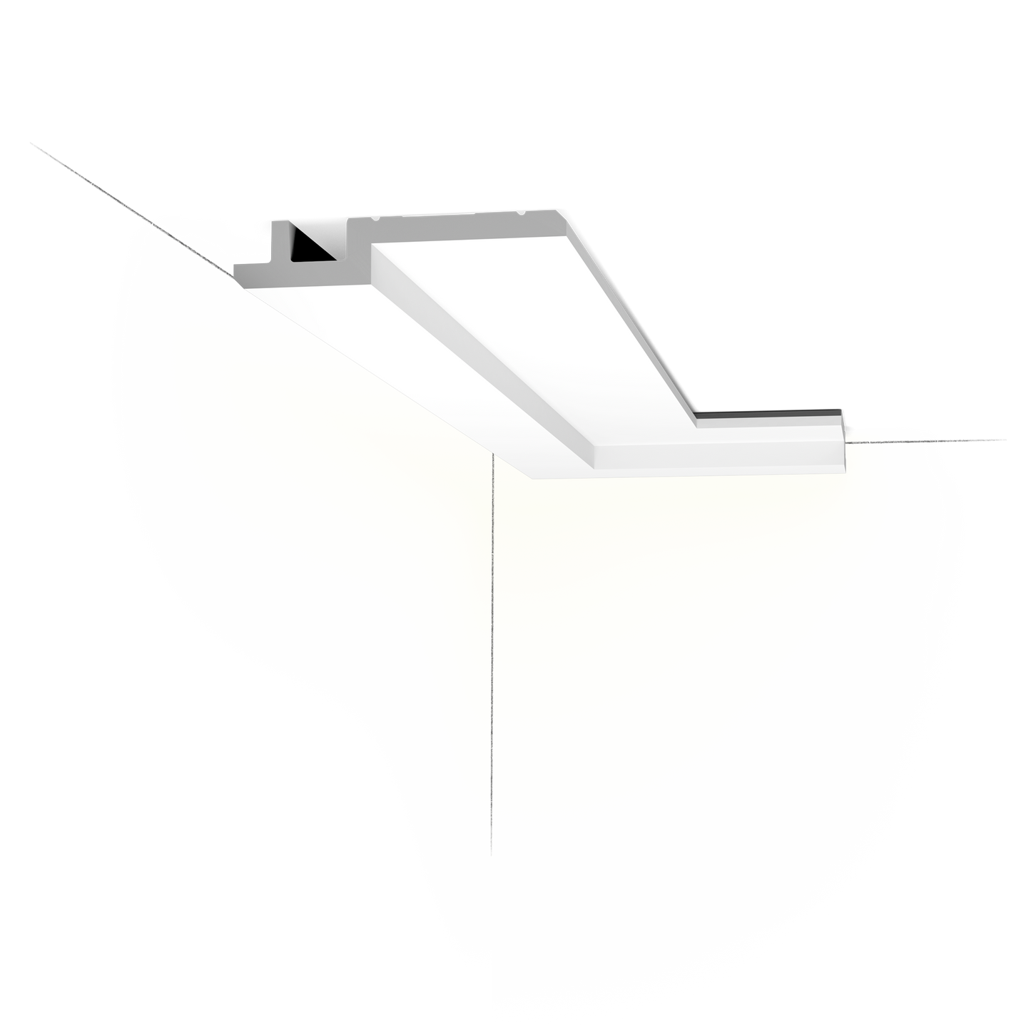 C395 PAS