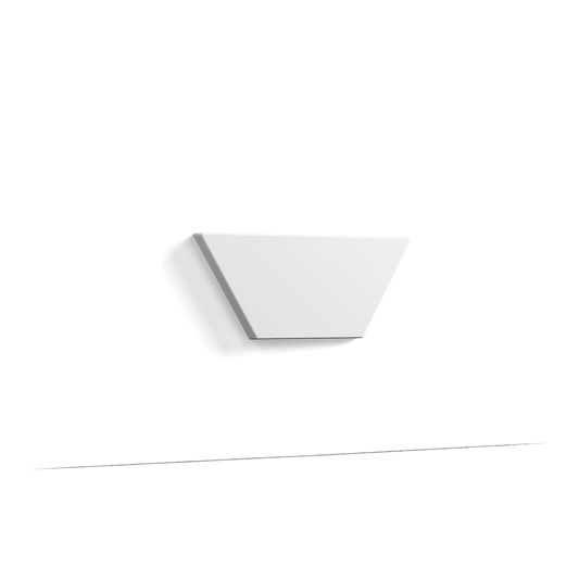 W101 TRAPEZIUM